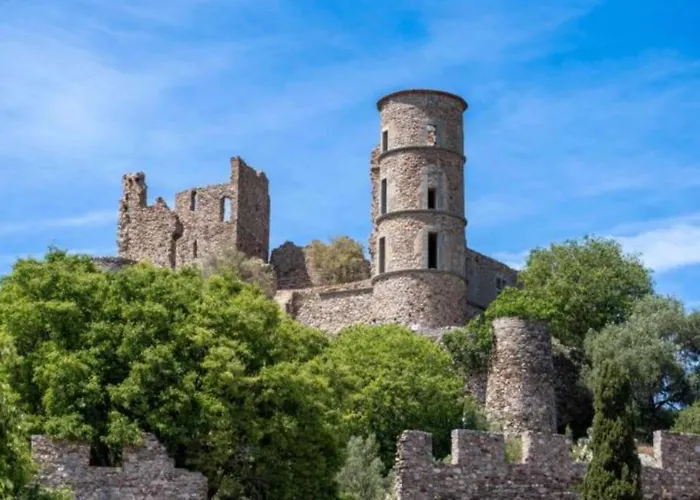 300 M De La Plage, Piscine Clim, Wifi Grimaud